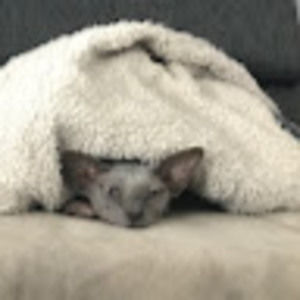 Meet your Posher, Nicki